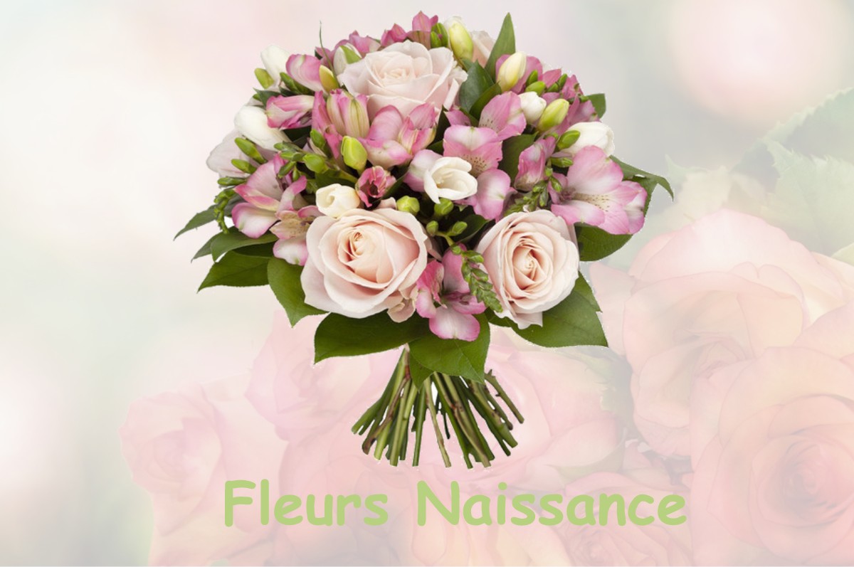 fleurs naissance MAILLANE