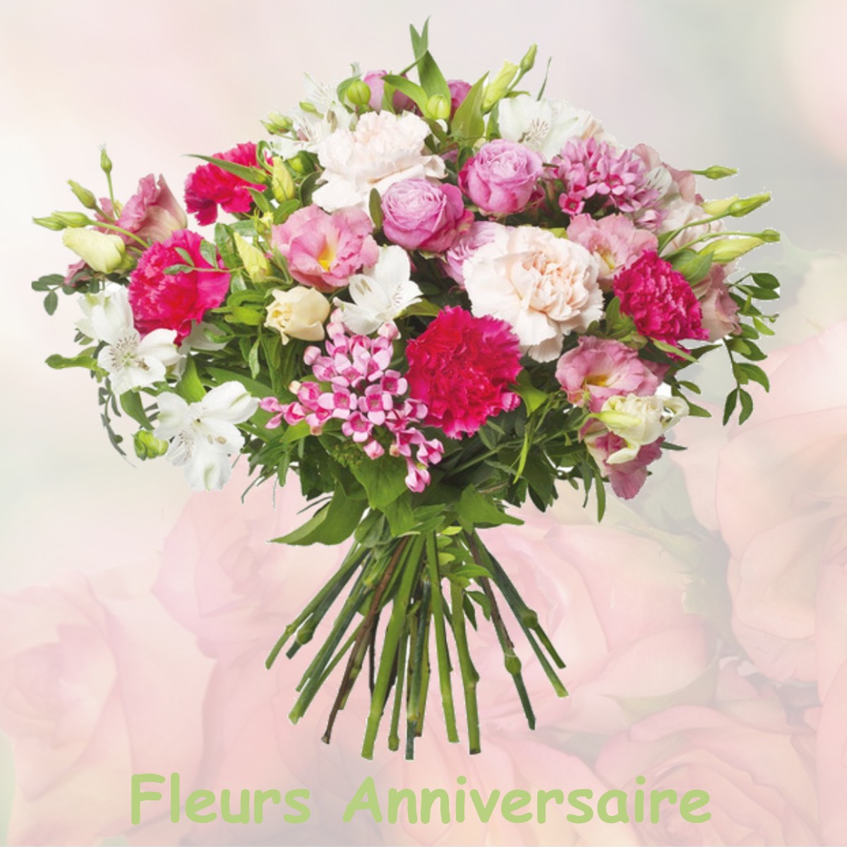 fleurs anniversaire MAILLANE