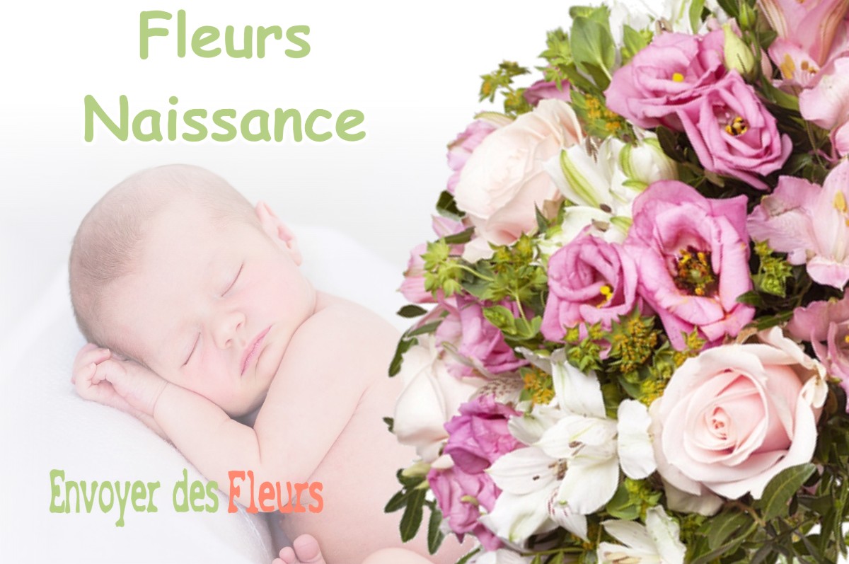 lIVRAISON FLEURS NAISSANCE à MAILLANE